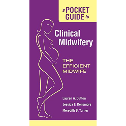 A Pocket Guide to Clinical Midwifery: The Efficient Midwife, 1st Edition