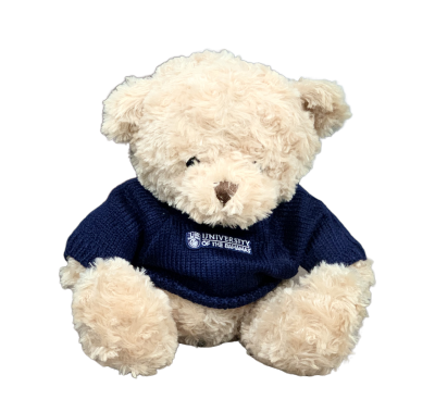 UB Logo Teddy Bear