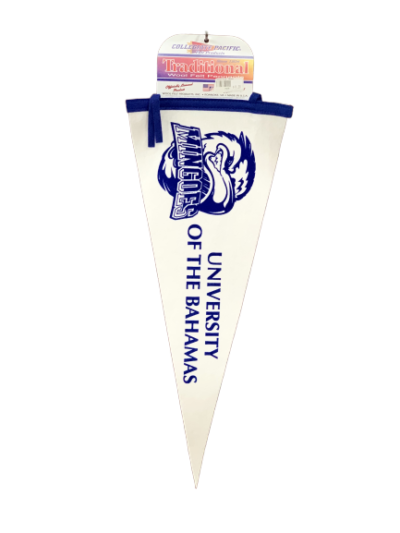 UB Mingoes Pennant