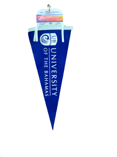 UB Logo Pennant