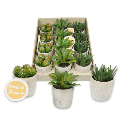Mini Decorative Plants with Cement Vase, 5.5"