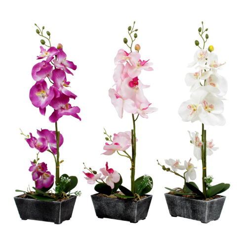 Orchid Desk Plant, 15"