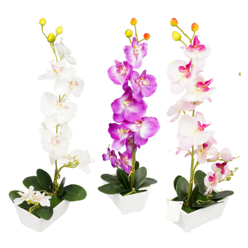 Orchid Desk Plant, 12.75"