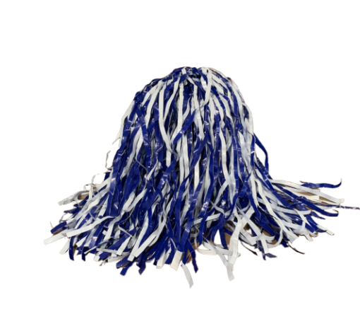 UB Pom Pom