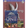 Easy Pruning: Simple Steps to Success