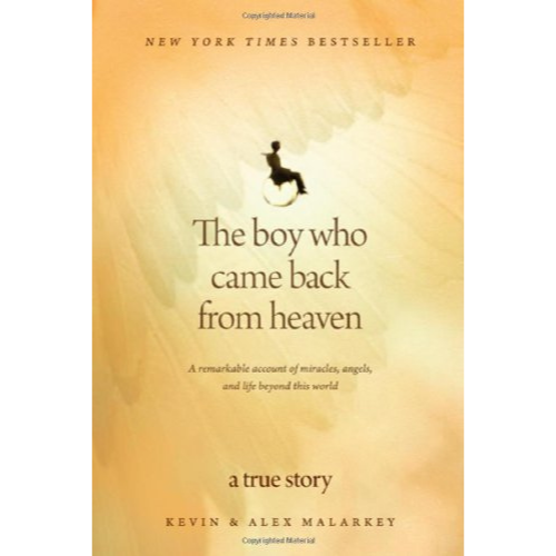 The Boy Who Came Back from Heaven