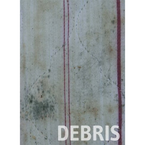 DEBRIS