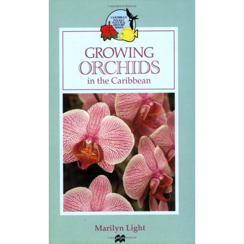 Growing Orchids in the Caribbean