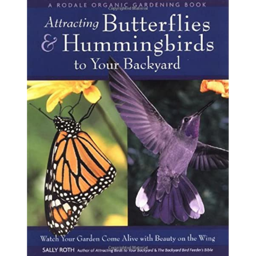 Attracting Butterflies & Humming Birds to Your Backyard