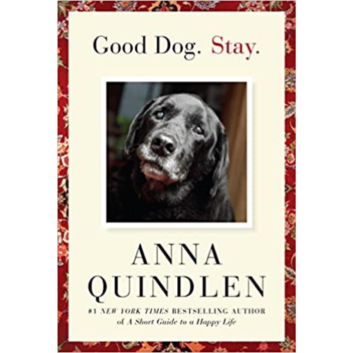 Good Dog. Stay.