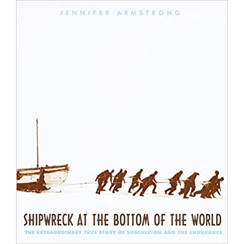 Shipwreck At the Bottom of the World