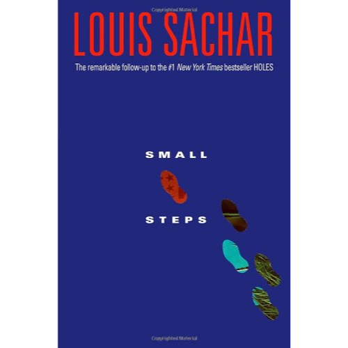 SMALL STEPS
