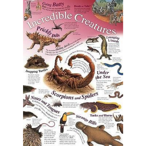Wall Chart