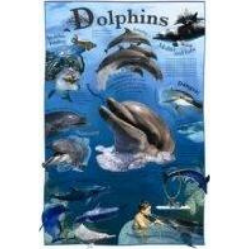 Wall Chart
