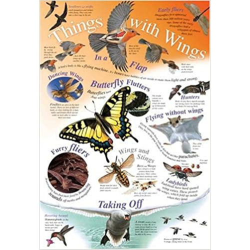 Wall Chart