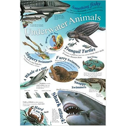 Wall Chart