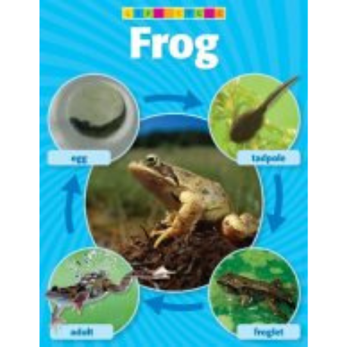 Banner: Frog Life Cycle Photo