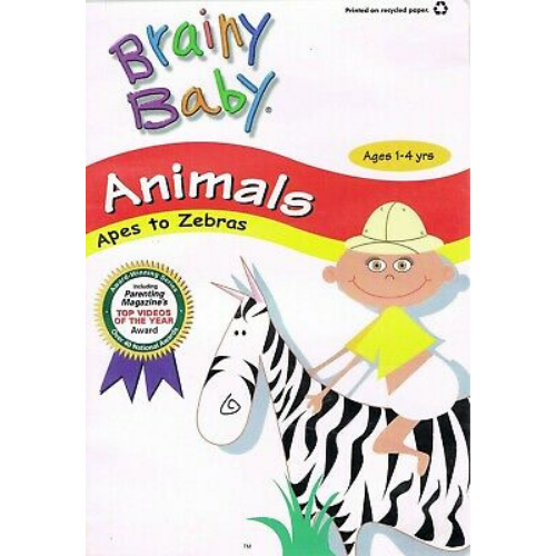 Brainy Baby Art DVD
