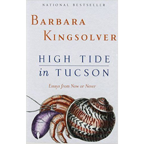 High Tide in Tucson