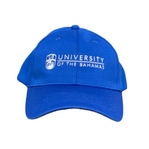 UB Mesh Cap, Blue