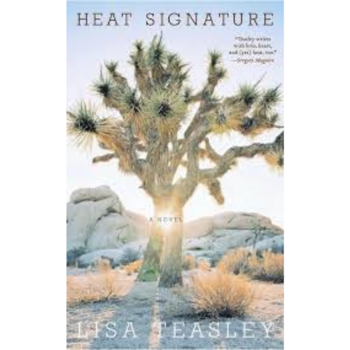 Heat Signature