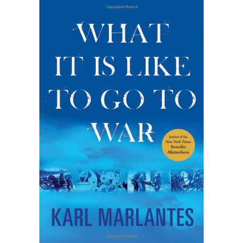 What It is Like to go to War
