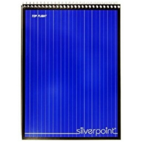 Silverpoint Steno Book