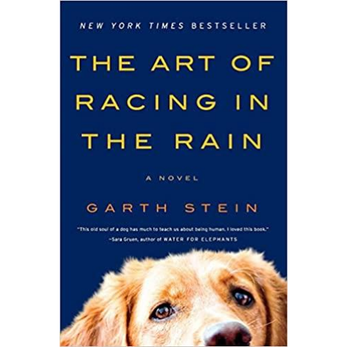 The Art of Racing in the Rain