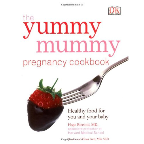 The Yummy Mummy Pregnancy Cookbook