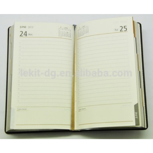 Diary One Day Page