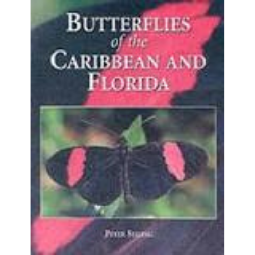 Butterflies Of the Caribbean and Florida