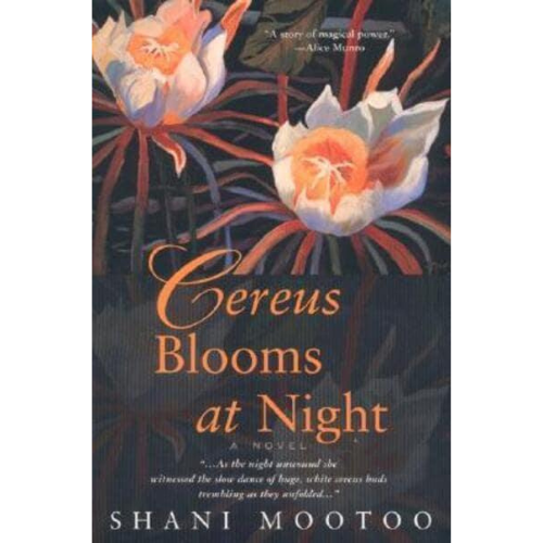 Cereus Blooms at Night
