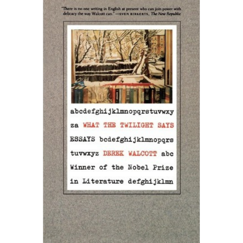What the Twilight Says: Essays
