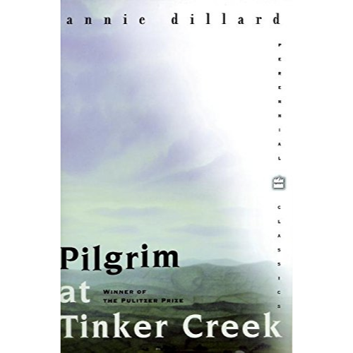 Pilgrim at Tinker Creek
