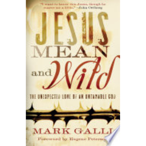 Jesus Mean and Wild: The Unexpected Love of an Untamable God