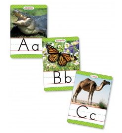 Animals From A to Z: Alphabet