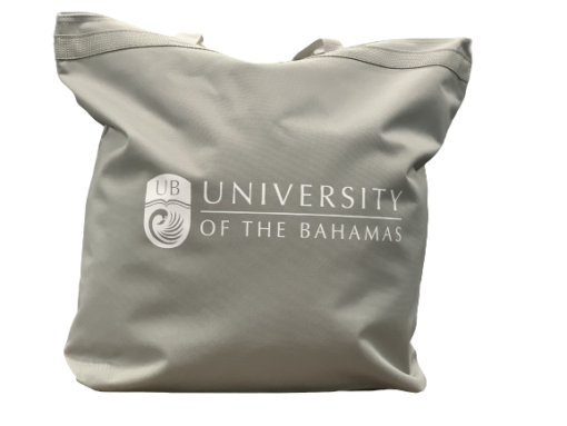 UB Tote Bag - Image 3