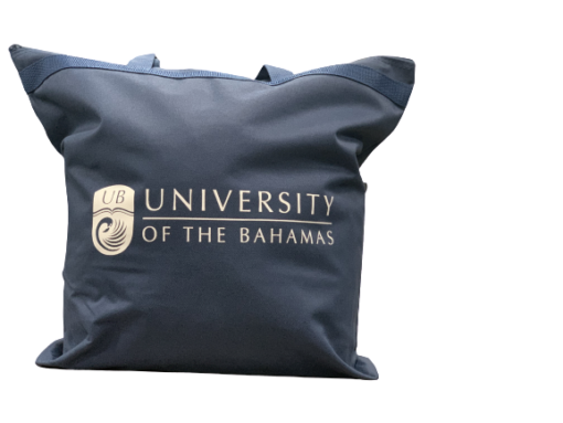 UB Tote Bag - Image 4