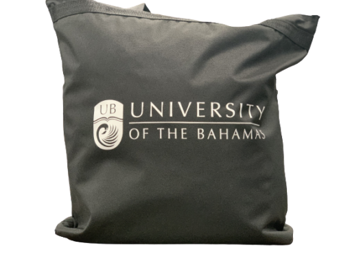 UB Tote Bag - Image 2