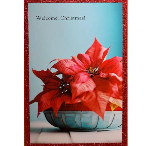 Welcome, Christmas!