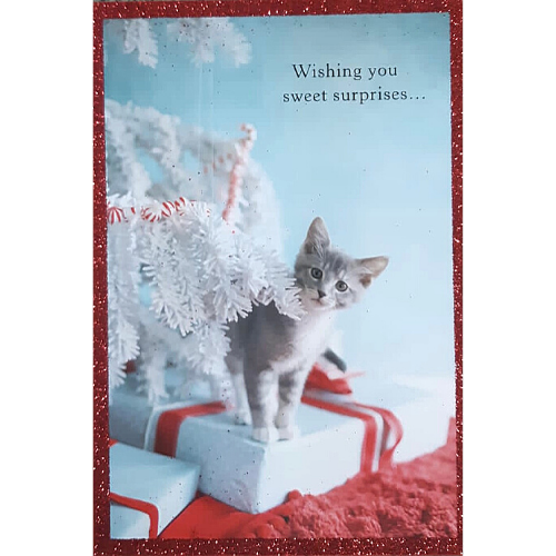 Sweet Surprises