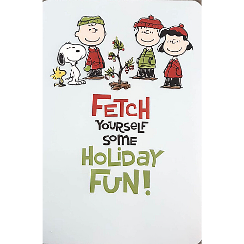 Holiday Fun