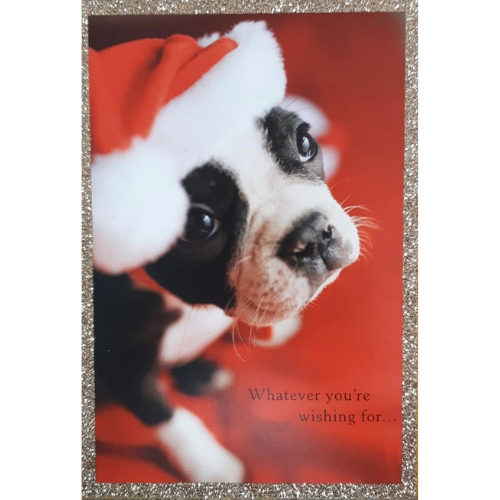 Puppy Glitter