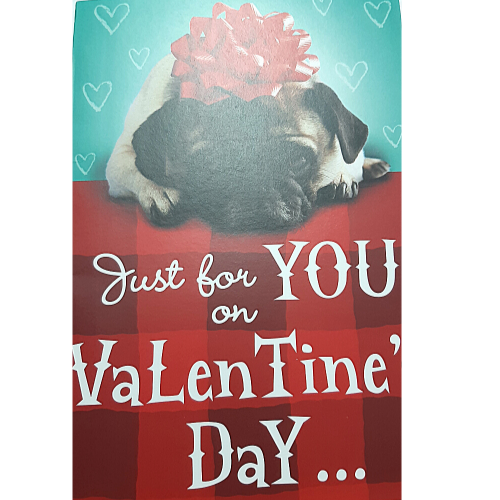 A Pug and A Kiss!