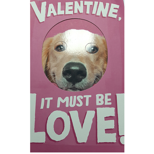 Valentine, It Must Be Love!
