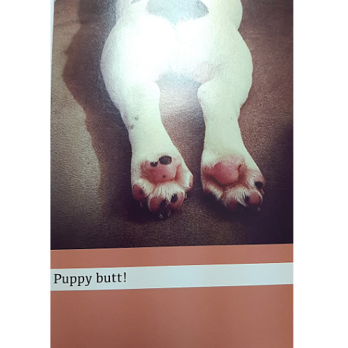 Puppy Butt!