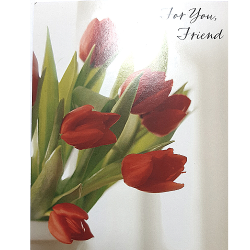 For you, Friend