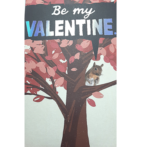 Be My Valentine