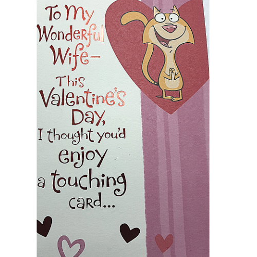 To My Wonderful Wife