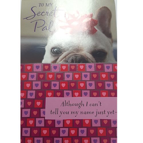 To My Secret Pal